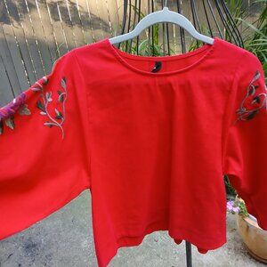 Embroidered red blouse